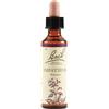 IMPATIENTS BACH ORIG 20ML