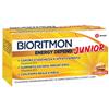 BIORITMON ENERGY DEFEND J 10FL