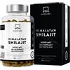 Aavalabs Shilajit 90 pz Capsule