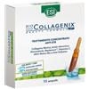 ESI Srl ESI BIOCOLLAGENIX 15 AMPOLLE DA 1,8 ML