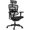 HJH Office Sedia da ufficio ergonomica ERGOHUMAN SIGNATURE GEN2 Design originale, sedia da ufficio con supporto lombare flessibile, rivestimento in rete, Nero