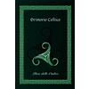 Edizioni Lanterna Magica Grimorio Celtico: Libro delle Ombre - Edizione Brossura (Medium)