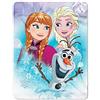 Northwest Frozen, Multi-Colored, 45 by 60