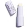 Caudalie Trattamento Labbra - Stick labbra nutriente e protettivo 4,5 g