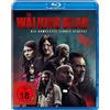 eOne Entertainment (Universal Pictures) The Walking Dead - Staffel 10