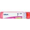 BOIRON Srl IODUM 7CH GR