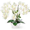 PASCH® Orchidea Artificiale XXL Grande (56 cm) in Vaso di Ceramica Lucida - Fiori Come Veri in Vaso (Bianco)