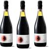 Cantina Mingazzini Sirjo - Lambrusco Rosso Emilia Frizzante Secco IGT - 3 bottiglie (annata 2024)