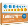 AlfaSigma Carnidyn Plus - 20 Bustine