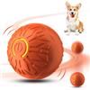 RuiDay Pallina Interattiva per Gatti e Cani, Giochi per Gatti con Cavo di Ricarica, Giochi Gatto Che Si Muove da Sola, Ricaricabile Tramite USB, Palla Interattiva per Cani (Colore Arancione)