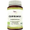 COPRINUS 93CPS FREELAND