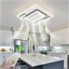 LYSDjia Muto Ventilatore da soffitto con luce con telecomando LED Dimmerabile Lampada da soffitto Moderno Illuminazione per Soggiorno Camera da letto Regolabile 6 velocità Cucina lampadario a ventagli