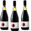 Cantina Mingazzini Calljsto - Lambrusco Rosso Emilia IGT Frizzante Amabile - 3 bottiglie (annata 2024)