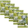 Staufen Style Blocco note a spirale LIN 5-5 blocchetti da 40 fogli ciascuno, DIN A5, 70 g/m², a scacchiera (5 mm)