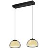 HELL Luxxo lampada a sospensione LED, 2 luci con telecomando, 20635/2-06, Luxxo [Lampade per Interni > Lampade a Sospensione]