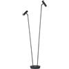 HELL Tom Pro lampada da terra, LED, 2 luci, 60551/2-06, Tom Pro [Lampade per Interni > Lampade da Terra]