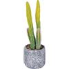 Villa d'Este Home Tivoli Piantina artificiale Cactus, vaso in cemento, Ø13x40,5 cm