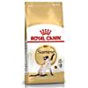 ROYAL CANIN GATTO ADULTO SIAMESE 2 KG