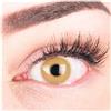 GLAMLENS Lenti a contatto colorate marrone chiaro Alice Brown Hazel - mensili - con porta lenti a contatto - marroni naturale in silicone idrogel - 2 pezzi - DIA 14.5 - senza correzione 0.00 diottrie