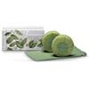 FRESCAESSENZA SAPONE PROFUMATO 2X100G- L'ERBOLARIO