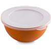 Omada Design Ciotola Cucina Con coperchio da 0,5 lt,in Plastica, Resistente, in Microban Antibatterico, Made in Italy, Linea Sanaliving