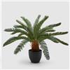 EDG Enzo De Gasperi Pianta Artificiale Palma Cycas 72cm Verde