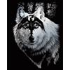 Royal & Langnickel Silver Foil Engraving Art Kit 8X10-Dragon Wolf