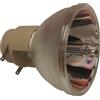 BENQ 5J.JL905.A01, 5J.JL905.001 LAMPADA OSRAM SENZA SUPPORTO (SOLO BULBO)