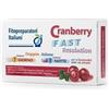 FITOPREPARATORI ITALIANI FPI CRANBERRY FAST