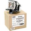 Alda PQ Professional, Lampada per proiettore compatibile con PK-L2312U, PK-L2312UP per JVC DLA-RS46U, DLA-RS48U, DLA-RS56U, DLA-RS66U3D, DLA-X35, DLA-X55R, DLA-X75R, DLA-X95R Proiettori