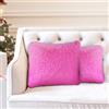 Bustlwor Set di 2 Federe in Peluche, Cuscini in Pelliccia Artificiale, Federe in Morbida Pelliccia, per Divani da Soggiorno, Seggiolini Auto, Camerette per Bambini, Decorazioni per La Casa (Rosa)