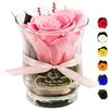 Rosen-Te-Amo | Rose Infinity | Rosa eterna conservata in vaso di vetro | Profumato | Pellicola decorativa fatta a mano | Design sottile || Regalo di compleanno per moglie, mamma, fidanzata,