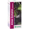 CAPIETAL ITALIA SRL Alnus Complex Sciroppo 200 Ml