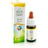 guna Wild Rose 37 Gocce 10ml Bach Guna