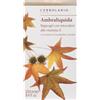 l'erbolario Ambraliquida bagnogel microsfere vitamina e 250 ml