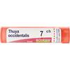 Boiron Thuya Occidentalis 7ch Granuli