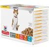 HILL'S Science Plan Feline Young Adult Sterilised Cat Multipack con il pollo, con la trota, con il tonno, con il salmone 12 x 85g