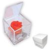 Premium-rose.com OneFlower by PREMIUM ROSE - Cubo Rosa Stabilizzata 5 cm con Marmo di Carrara Made In Italy - Rosa Eterna Stabilizzata Idea Compleanni e Celebrazione Nuovi Traguardi - Arancio 1056