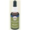 BUSH BIOTHERAPIES PTY LTD Bush Flower Essences Fiori Australiani Electro Gocce 30 Ml