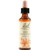 BACH Schwabe Fiori Di Bach Red 25 Chestnut Gocce 20 Ml