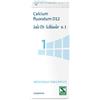Sale Dr.schussler N.1 Calcium Fluodratum D12 200 Compresse