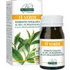 GIORGINI Te Verde Estratto Titolato 30 G 60 Pastiglie