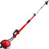 Blue Bird BlueBird PTT261 - Potatore a scoppio su asta telescopica - Lama da 30cm