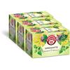 Pompadour, Tisana Drenante Plus con Equiseto e Betulla, 54 Filtri (3 Confezioni da 18 Filtri), Favorisce la Diuresi ed Eliminazione dei Liquidi in Eccesso, Senza Lattosio, Glutine e Allergeni, Vegan