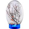 GAOINTELL Ecosistema acquatico Chiuso Con Base LED Pesce Per Acquario Regalo Per Bambini Palla Acquario