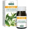 DR.GIORGINI SER-VIS SRL Te Verde Estratto Titolato 30 G 60 Pastiglie
