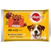 PEDIGREE Adult Selezione di sapori 4x100g cibo umido per cani adulti pezzi in gelatina ricchi di manzo e fegato e pezzi ricchi di pollame