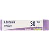 Boiron Lachesis Mutus 30ch Globuli