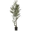HJH Office pianta artificiale OLIVE I albero artificiale di olivo 172 cm, albero artificiale di facile manutenzione, verde 871053
