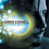 Chris Cornell ‎- Euphoria Mourning - Vinile LP